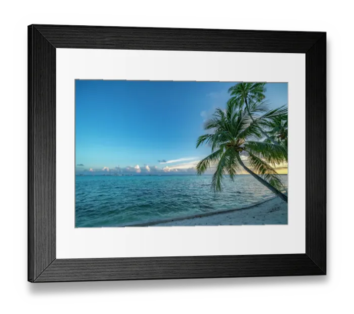 Framed Print : French Polynesia, Rangiroa Atoll. Palm trees and sailboats on ocean at sunset. ©Cathy & Gordon Illg / Jaynes Gallery / DanitaDelimont.com Framed Print : French Polynesia, Rangiroa Atoll. Palm trees and sailboats on ocean at sunset. ©Cathy & Gordon Illg / Jaynes Gallery / DanitaDelimont.com