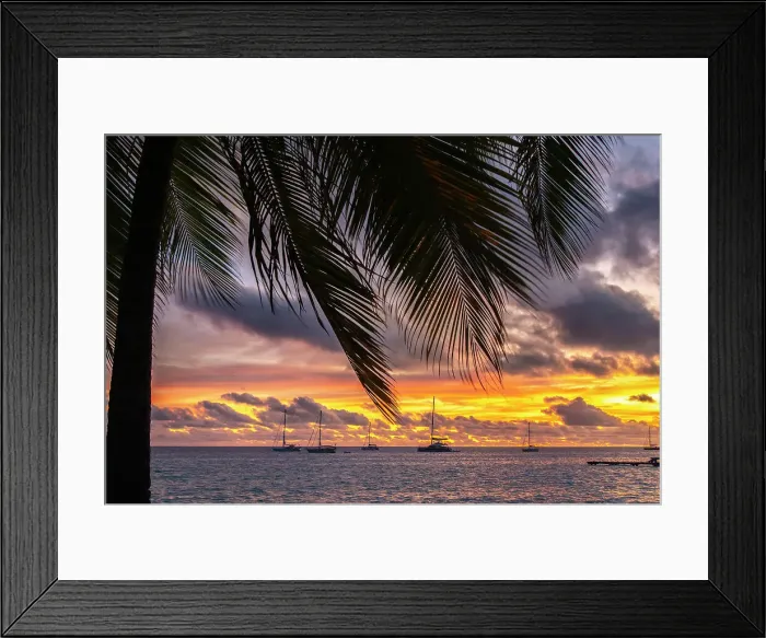 Framed Print : French Polynesia, Rangiroa Atoll. Palm tree and sailboats at sunset. ©Cathy & Gordon Illg / Jaynes Gallery / DanitaDelimont.com Framed Print : French Polynesia, Rangiroa Atoll. Palm tree and sailboats at sunset. ©Cathy & Gordon Illg / Jaynes Gallery / DanitaDelimont.com