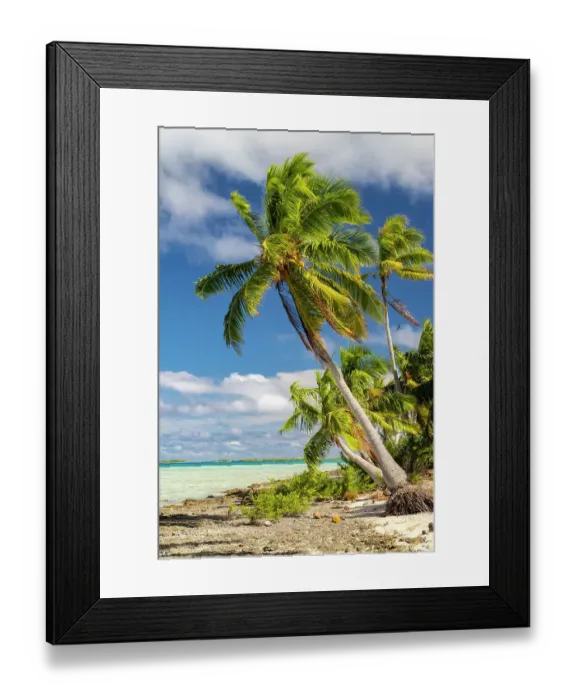 Framed Print : French Polynesia, Rangiroa Atoll. Blue Lagoon and palm trees. ©Cathy & Gordon Illg / Jaynes Gallery / DanitaDelimont.com Framed Print : French Polynesia, Rangiroa Atoll. Blue Lagoon and palm trees. ©Cathy & Gordon Illg / Jaynes Gallery / DanitaDelimont.com