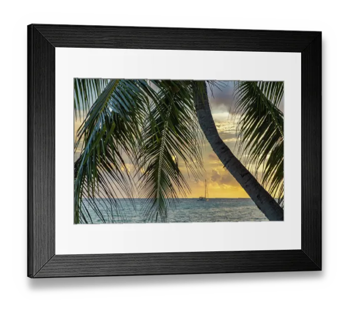 Framed Print : French Polynesia, Rangiroa Atoll. Palm tree and sailboat at sunset. ©Cathy & Gordon Illg / Jaynes Gallery / DanitaDelimont.com Framed Print : French Polynesia, Rangiroa Atoll. Palm tree and sailboat at sunset. ©Cathy & Gordon Illg / Jaynes Gallery / DanitaDelimont.com