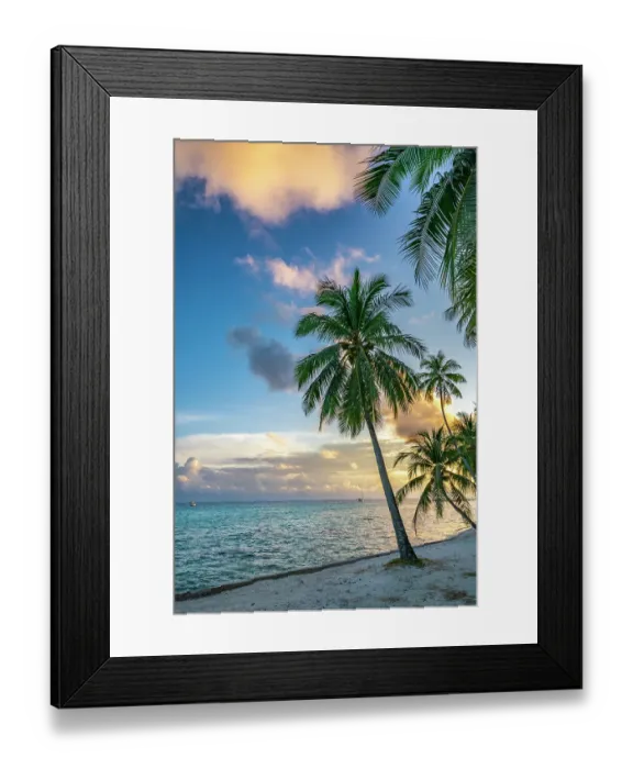 Framed Print : French Polynesia, Rangiroa Atoll. Palm tree and sailboat at sunset. ©Cathy & Gordon Illg / Jaynes Gallery / DanitaDelimont.com Framed Print : French Polynesia, Rangiroa Atoll. Palm tree and sailboat at sunset. ©Cathy & Gordon Illg / Jaynes Gallery / DanitaDelimont.com
