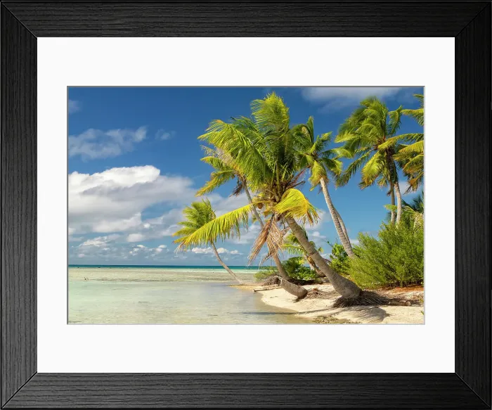 Framed Print : French Polynesia, Rangiroa Atoll. Blue Lagoon and palm trees. ©Cathy & Gordon Illg / Jaynes Gallery / DanitaDelimont.com Framed Print : French Polynesia, Rangiroa Atoll. Blue Lagoon and palm trees. ©Cathy & Gordon Illg / Jaynes Gallery / DanitaDelimont.com