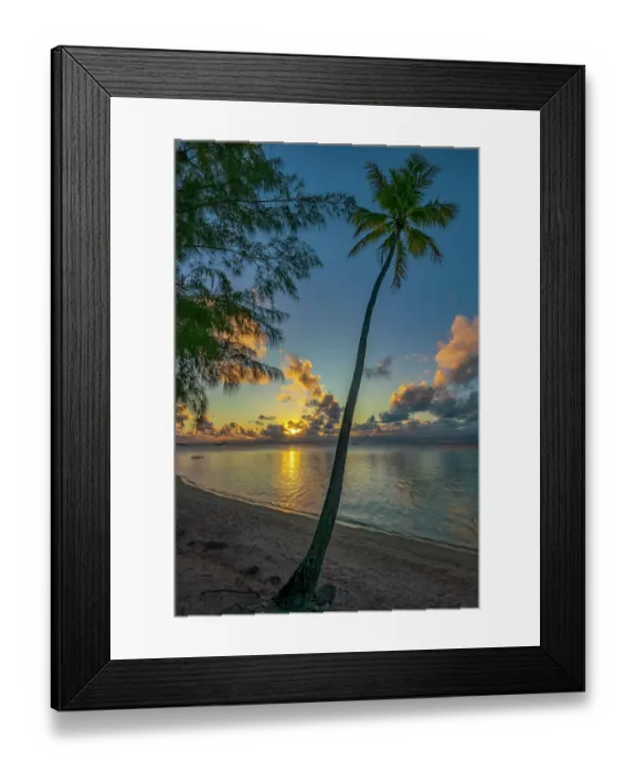 Framed Print : French Polynesia, Tikehau Atoll, palm tree sunset ©Cathy & Gordon Illg / Jaynes Gallery / DanitaDelimont.com Framed Print : French Polynesia, Tikehau Atoll, palm tree sunset ©Cathy & Gordon Illg / Jaynes Gallery / DanitaDelimont.com