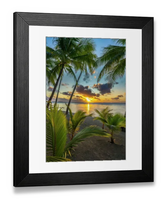 Framed Print : French Polynesia, Tikehau Atoll. Tree silhouettes at sunset. ©Cathy & Gordon Illg / Jaynes Gallery / DanitaDelimont.com Framed Print : French Polynesia, Tikehau Atoll. Tree silhouettes at sunset. ©Cathy & Gordon Illg / Jaynes Gallery / DanitaDelimont.com