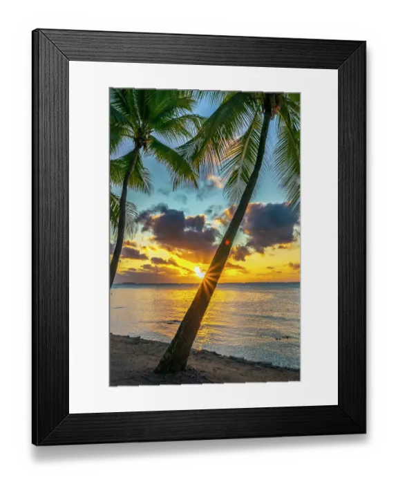 Framed Print : French Polynesia, Tikehau Atoll. Sunset on palm trees and ocean. ©Cathy & Gordon Illg / Jaynes Gallery / DanitaDelimont.com Framed Print : French Polynesia, Tikehau Atoll. Sunset on palm trees and ocean. ©Cathy & Gordon Illg / Jaynes Gallery / DanitaDelimont.com