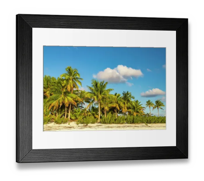 Framed Print : French Polynesia, Tikehau Atoll. Beach and palm trees. ©Cathy & Gordon Illg / Jaynes Gallery / DanitaDelimont.com Framed Print : French Polynesia, Tikehau Atoll. Beach and palm trees. ©Cathy & Gordon Illg / Jaynes Gallery / DanitaDelimont.com