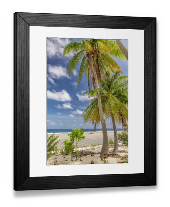 Framed Print : French Polynesia, Tikehau Atoll. Landscape with palm trees and ocean beach. ©Cathy & Gordon Illg / Jaynes Gallery / DanitaDelimont.com Framed Print : French Polynesia, Tikehau Atoll. Landscape with palm trees and ocean beach. ©Cathy & Gordon Illg / Jaynes Gallery / DanitaDelimont.com