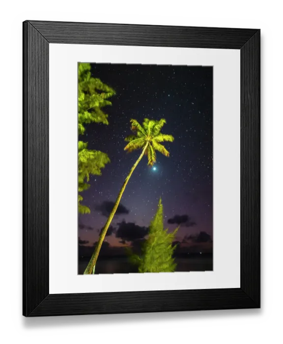 Framed Print : French Polynesia, Tikehau Atoll. Palm trees and moon at night. ©Cathy & Gordon Illg  /  Jaynes Gallery  /  DanitaDelimont.com