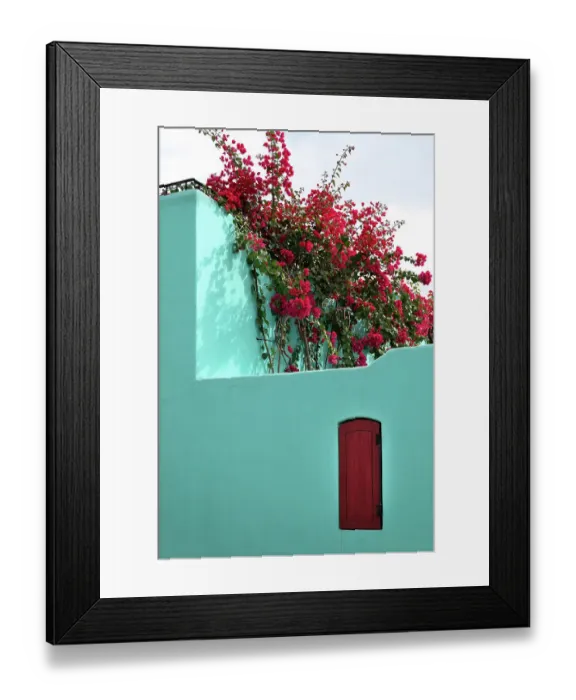 Framed Print : Mexico, Baja California Sur. Loreto Bay, colorful home and climbing azalea