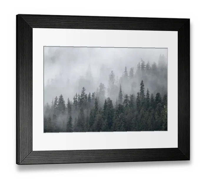Framed Print : Fog shrouds trees along the shoreline of Admiralty Island