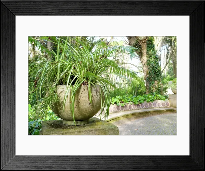 Framed Print : Sintra, Portugal. Pena Palace. Palace grounds