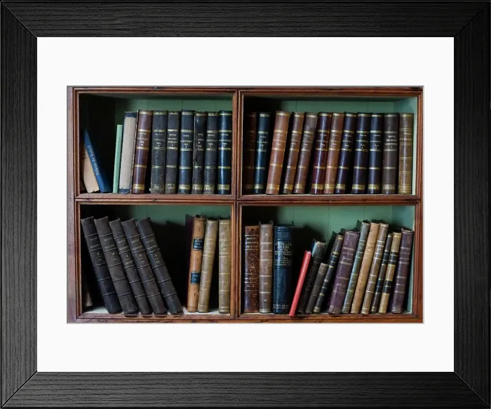 Framed Print : Coimbra, Portugal. Quinta das Lagrimas. Interior old library