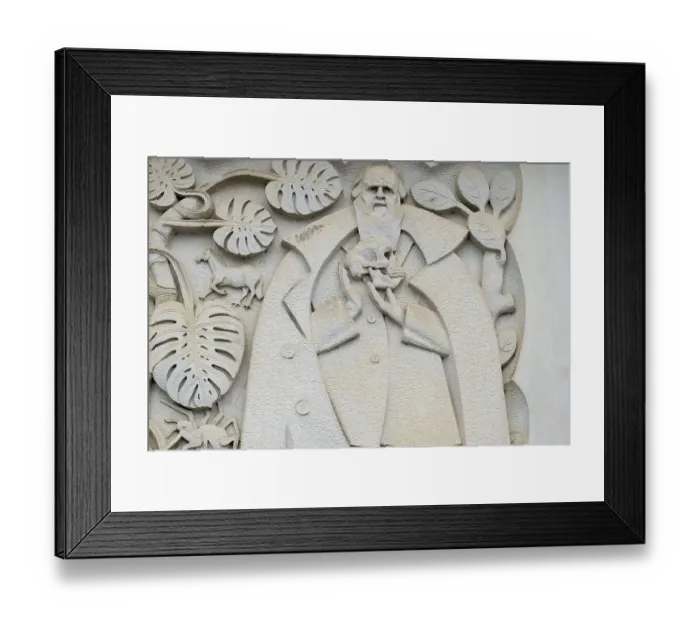 Framed Print : Coimbra, Portugal. University of Coimbra, carved reliefs