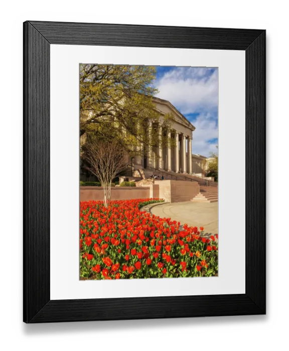 Framed Print : The National Archives, Washington, D.C, USA Framed Print : The National Archives, Washington, D.C, USA