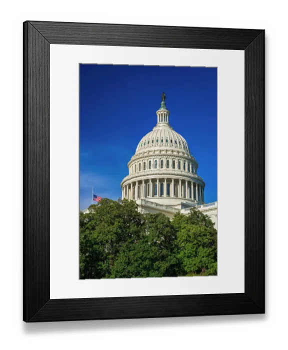Framed Print : The United States Capitol, Washington, D.C, USA Framed Print : The United States Capitol, Washington, D.C, USA