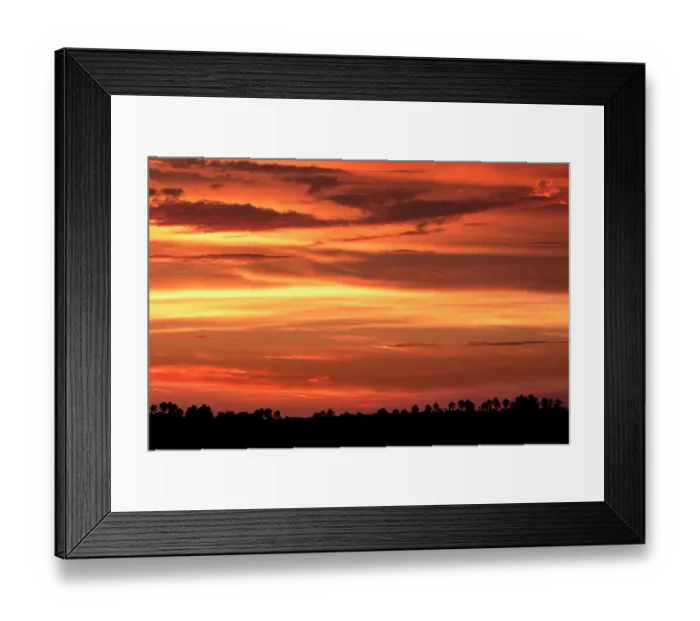 Framed Print : Sunset with palm trees silhouetted against the sky, Florida Framed Print : Sunset with palm trees silhouetted against the sky, Florida