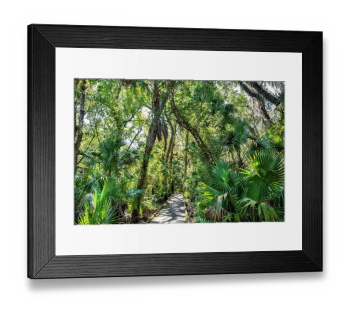 Framed Print : Walkway through Enchanted Forest Nature Sanctuary, Titusville, Florida