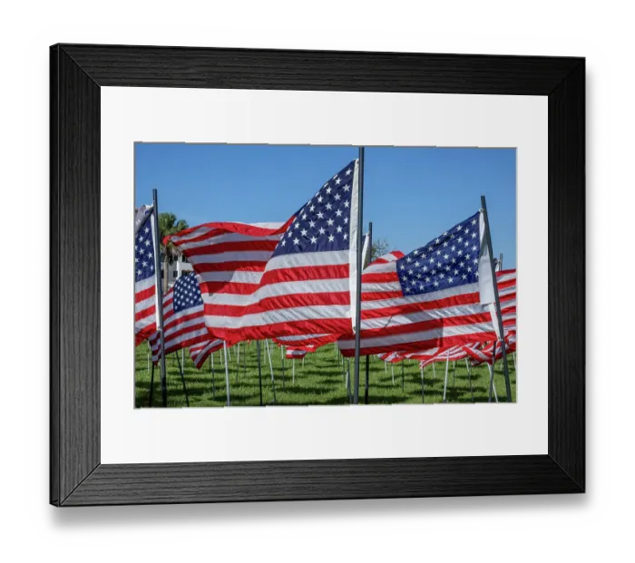 Framed Print : American flags displayed on Veteran's Day, New Smyrna Beach, Florida