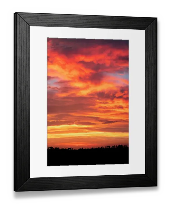Framed Print : Sunset with palm trees silhouetted against the sky, Florida
