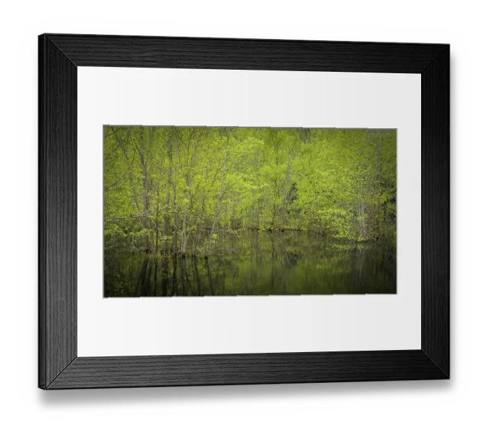 Framed Print : USA, New Jersey, Pine Barrens National Preserve. Spring forest reflects in pond. ©Jay O'Brien  /  Jaynes Gallery  /  DanitaDelimont.com