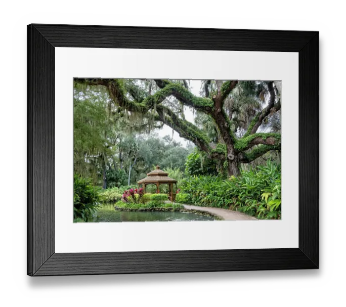 Framed Print : Gazebo at Washington Oaks Gardens State Park, Palm Coast, Florida