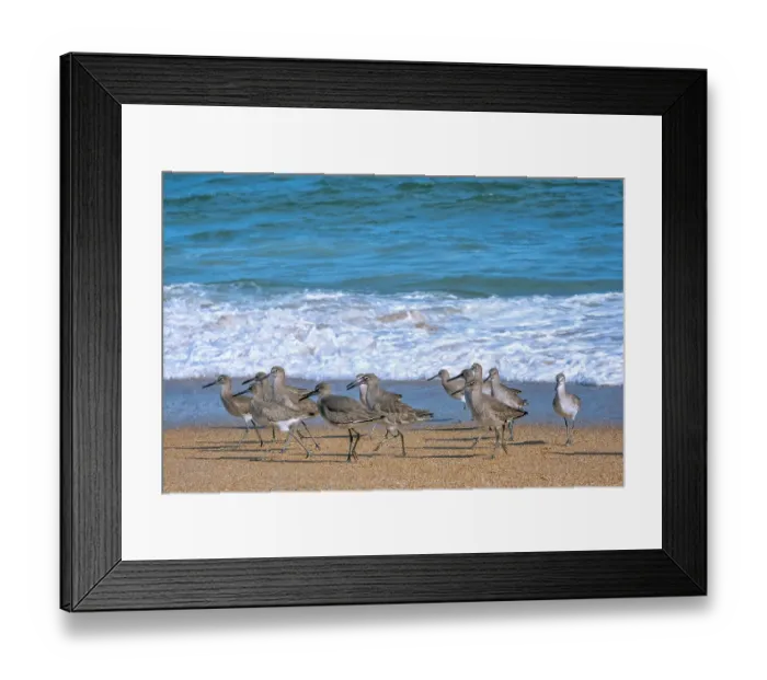 Framed Print : Crashing waves, Florida Framed Print : Crashing waves, Florida