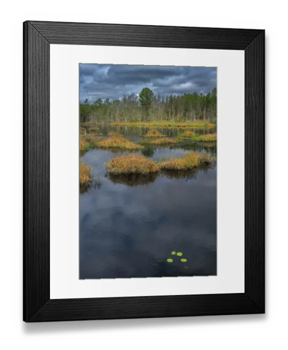 Framed Print : USA, New Jersey, Pine Barrens National Preserve. Storm over marsh and forest landscape. ©Jay O'Brien / Jaynes Gallery / DanitaDelimont.com Framed Print : USA, New Jersey, Pine Barrens National Preserve. Storm over marsh and forest landscape. ©Jay O'Brien / Jaynes Gallery / DanitaDelimont.com