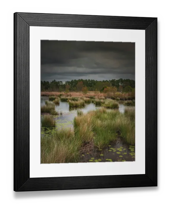 Framed Print : USA, New Jersey, Pine Barrens National Preserve. Storm over marsh in spring. ©Jay O'Brien / Jaynes Gallery / DanitaDelimont.com Framed Print : USA, New Jersey, Pine Barrens National Preserve. Storm over marsh in spring. ©Jay O'Brien / Jaynes Gallery / DanitaDelimont.com