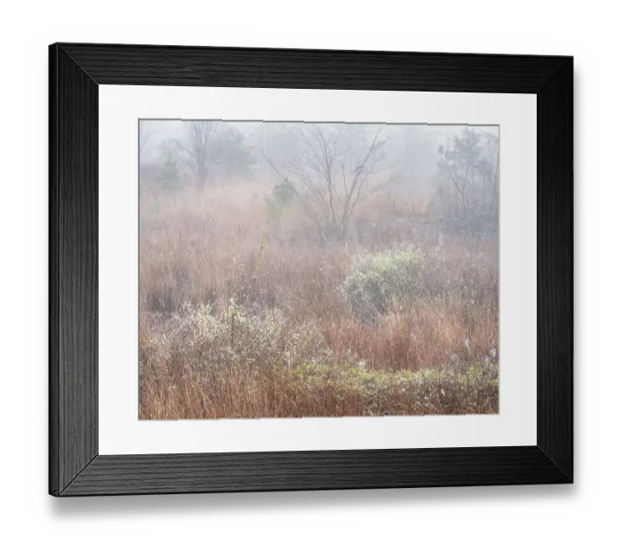 Framed Print : USA, New Jersey, Pine Barrens National Preserve. Fog over marsh in spring. ©Jay O'Brien / Jaynes Gallery / DanitaDelimont.com Framed Print : USA, New Jersey, Pine Barrens National Preserve. Fog over marsh in spring. ©Jay O'Brien / Jaynes Gallery / DanitaDelimont.com
