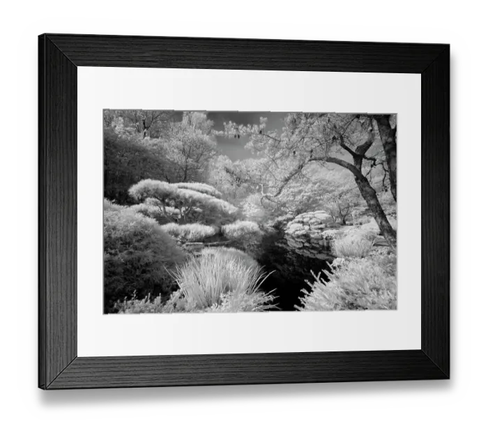 Framed Print : USA, Georgia, Ball Ground. Infrared of trees and shrubs around a pond. ©Wendy Kaveney / Jaynes Gallery / DanitaDelimont.com Framed Print : USA, Georgia, Ball Ground. Infrared of trees and shrubs around a pond. ©Wendy Kaveney / Jaynes Gallery / DanitaDelimont.com