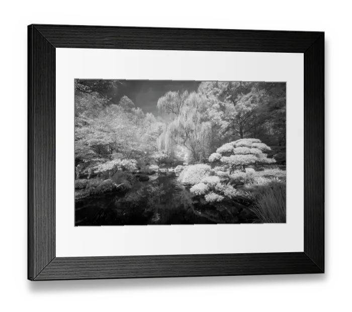 Framed Print : USA, Georgia, Ball Ground. Infrared of trees and shrubs around a pond. ©Wendy Kaveney  /  Jaynes Gallery  /  DanitaDelimont.com
