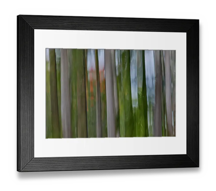 Framed Print : USA, Hawaii, Maui. Rainbow eucalyptus tree trunks Panning up and down Framed Print : USA, Hawaii, Maui. Rainbow eucalyptus tree trunks Panning up and down