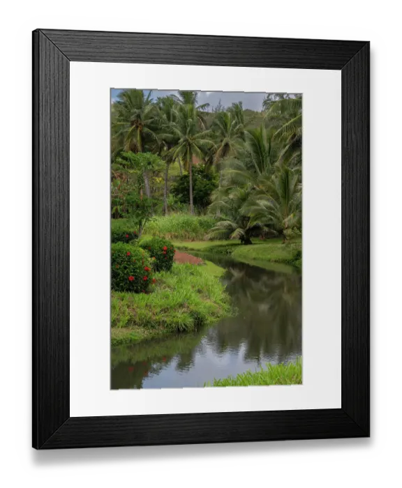 Framed Print : USA, Kauai, Hawaii. Coconut palms and creek near Moloa'a Beach