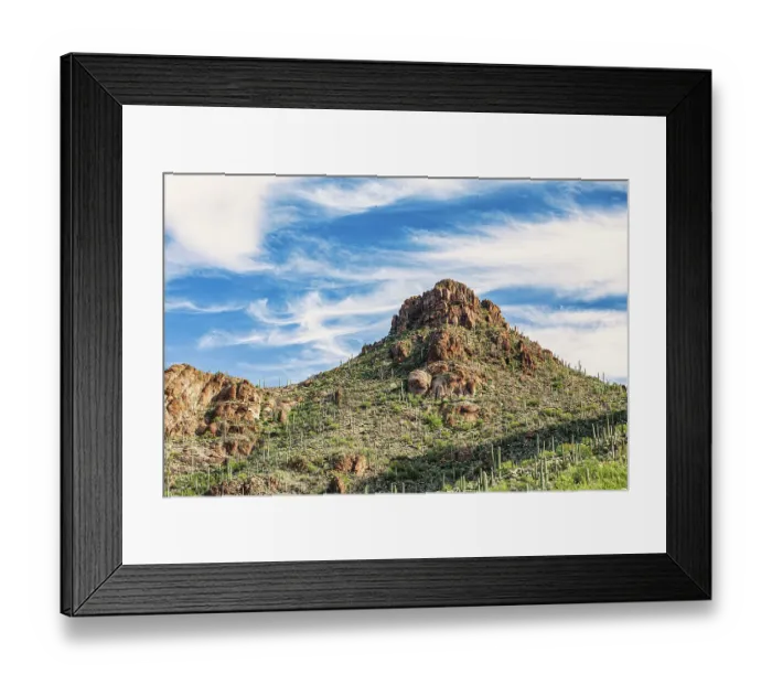 Framed Print : Saguaro National Park around Tucson, Arizona Framed Print : Saguaro National Park around Tucson, Arizona