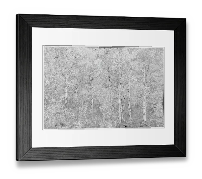 Framed Print : US13 DGU0053
