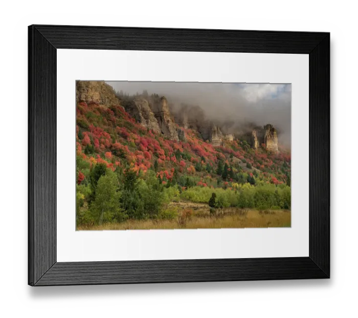 Framed Print : USA, Idaho. Fall foliage in Palisades region