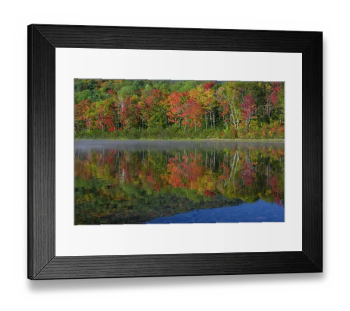 Framed Print : USA, Maine. Colorful foliage reflected in South Branch Pond, Baxter State Park Framed Print : USA, Maine. Colorful foliage reflected in South Branch Pond, Baxter State Park