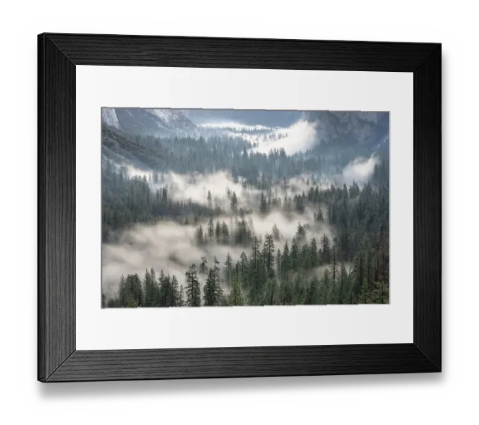 Framed Print : USA, California, Yosemite National Park. Sunrise fog on Yosemite Valley forest sunrise Framed Print : USA, California, Yosemite National Park. Sunrise fog on Yosemite Valley forest sunrise