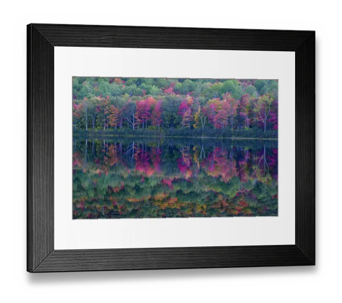 Framed Print : USA, Maine. Colorful foliage reflected in South Branch Pond, Baxter State Park Framed Print : USA, Maine. Colorful foliage reflected in South Branch Pond, Baxter State Park