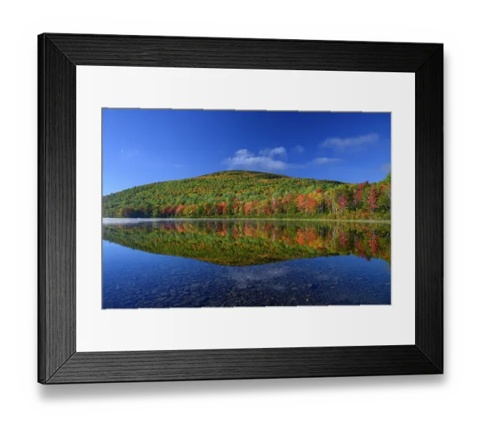 Framed Print : USA, Maine. Colorful foliage reflected in South Branch Pond, Baxter State Park Framed Print : USA, Maine. Colorful foliage reflected in South Branch Pond, Baxter State Park