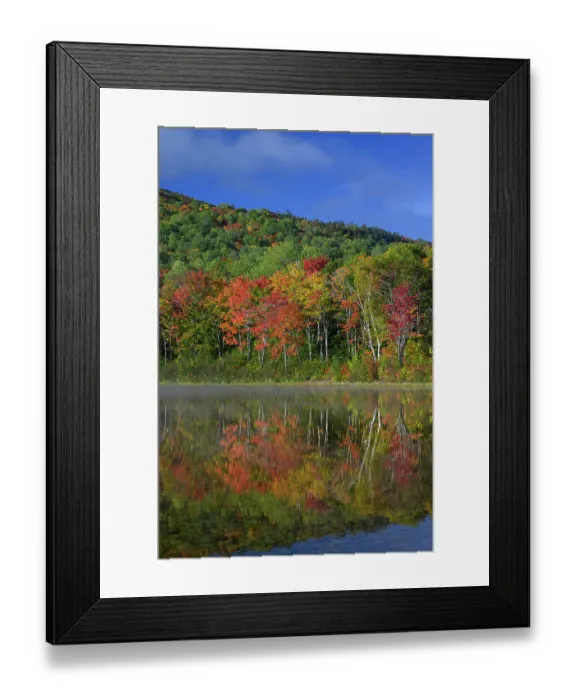 Framed Print : USA, Maine. Colorful foliage reflected in South Branch Pond, Baxter State Park