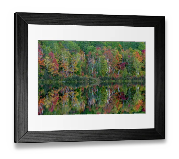 Framed Print : USA, Maine. Colorful foliage reflected in South Branch Pond, Baxter State Park Framed Print : USA, Maine. Colorful foliage reflected in South Branch Pond, Baxter State Park