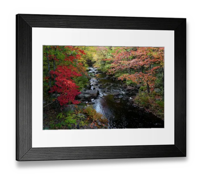 Framed Print : USA, Maine. Creek with red maples and fall foliage near Cherryfield Maine Framed Print : USA, Maine. Creek with red maples and fall foliage near Cherryfield Maine
