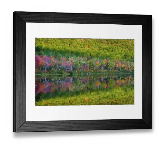Framed Print : USA, Maine. Colorful foliage reflected in South Branch Pond, Baxter State Park Framed Print : USA, Maine. Colorful foliage reflected in South Branch Pond, Baxter State Park