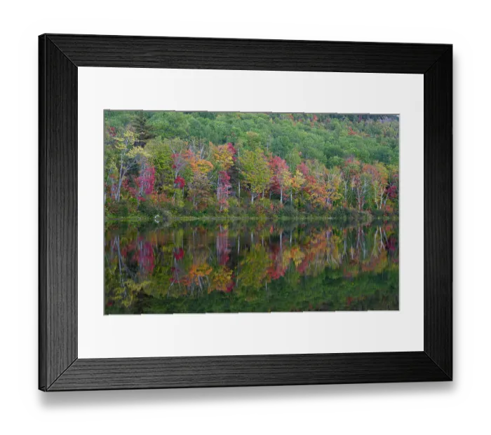 Framed Print : USA, Maine. Colorful foliage reflected in South Branch Pond, Baxter State Park Framed Print : USA, Maine. Colorful foliage reflected in South Branch Pond, Baxter State Park