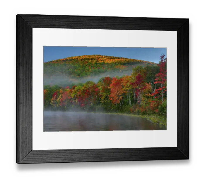 Framed Print : USA, Maine. Brilliant fall colors at edge of South Branch Pond, Baxter State Park Framed Print : USA, Maine. Brilliant fall colors at edge of South Branch Pond, Baxter State Park