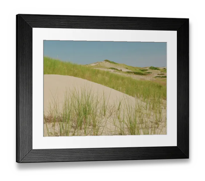 Framed Print : Cape Cod Framed Print : Cape Cod