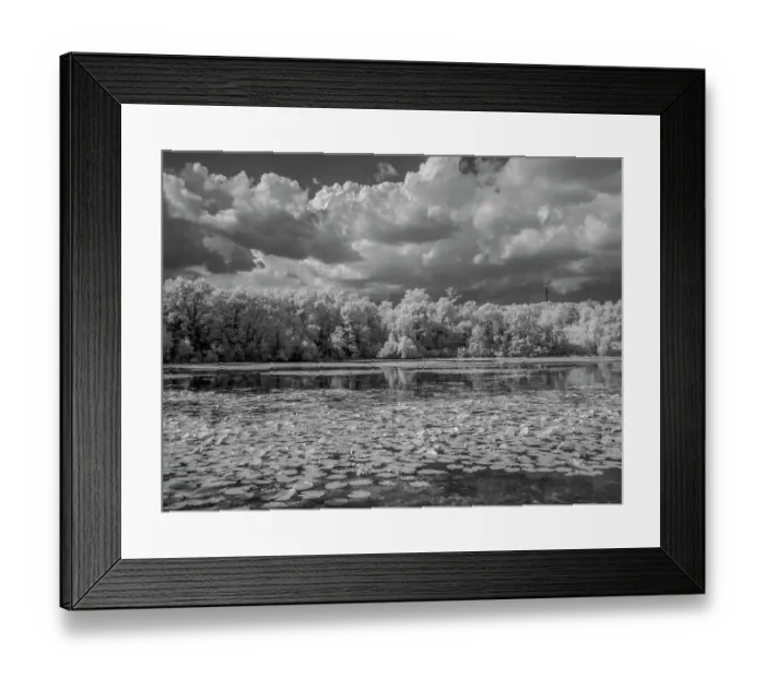 Framed Print : Infrared of Gerhardt Lake in Lebanon Hills Regional Park, Eagan, central Minnesota