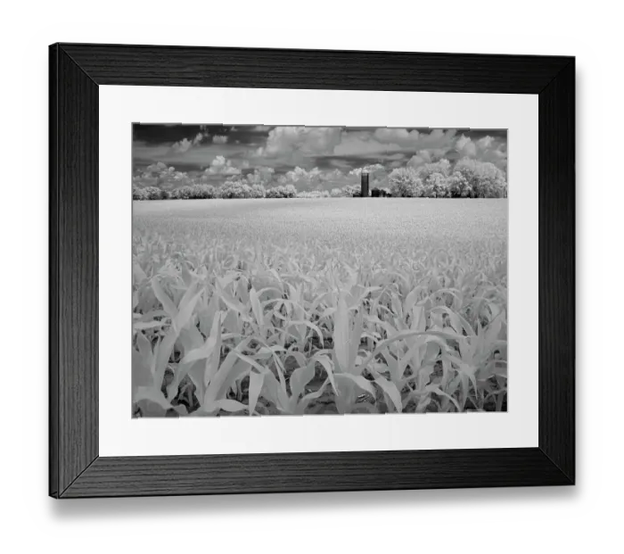 Framed Print : Infrared of Minnesota River, Minnesota River Valley Wildlife Refuge, central Minnesota Framed Print : Infrared of Minnesota River, Minnesota River Valley Wildlife Refuge, central Minnesota
