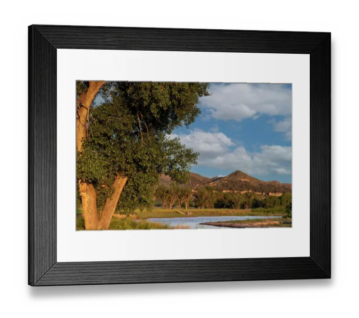 Framed Print : Cottonwood trees along the scenic Powder River in Powder River County, Montana, USA